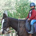 Certified Vocational Equitation & Horse Care Intro Course